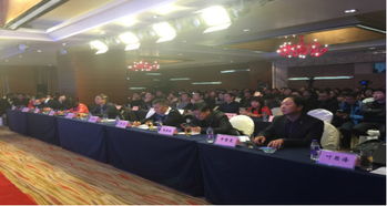 河南省軟件服務(wù)業(yè)協(xié)會(huì)最新動(dòng)態(tài) 引領(lǐng)網(wǎng)絡(luò)技術(shù)服務(wù)創(chuàng)新與發(fā)展