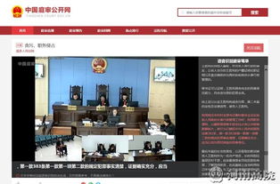 河南法院訴訟服務(wù)網(wǎng) 便捷高效的司法網(wǎng)絡(luò)技術(shù)服務(wù)