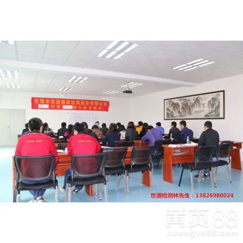 上海網絡技術服務的發展與機遇